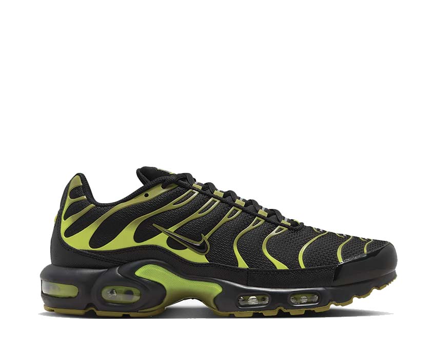 Nike Air Max Plus Black / Black - Cyber - Pacific Moss DM0032-010