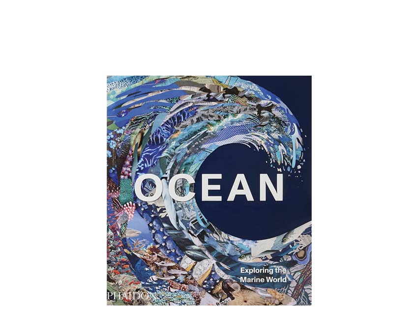 Ocean Phaidon English