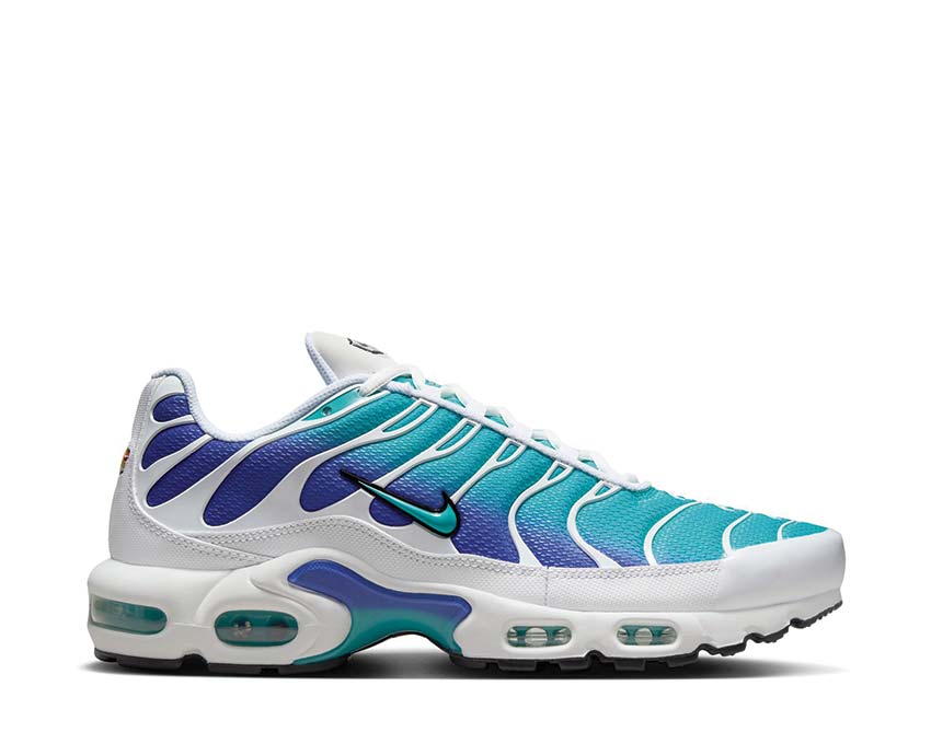 Nike Air Max Plus White / Dusty Cactus - Persian Violet - Black DM0032-102