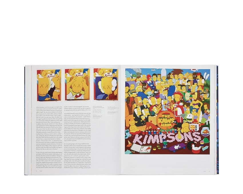 KAWS Nadel Dan Phaidon English