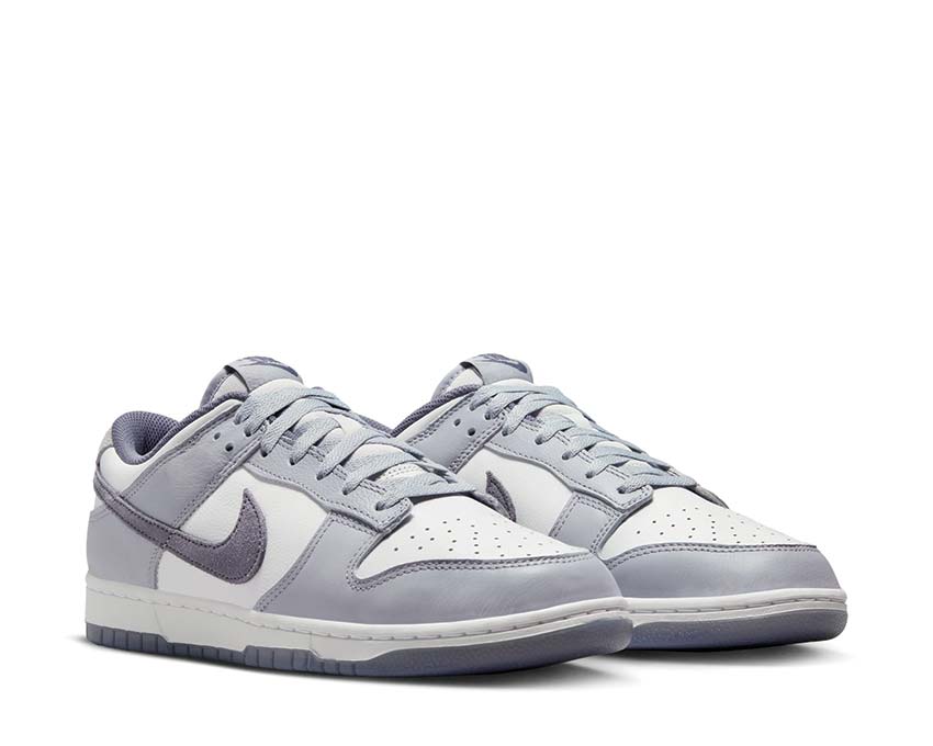 Nike Dunk Low Retro Premium White / Light Carbon - Platinum Tint FJ4188-100