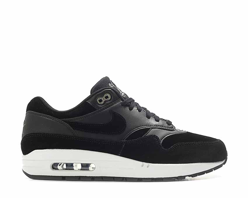 Nike Air Max 1 Premium 'Rebel Skulls Pack' 875844-001