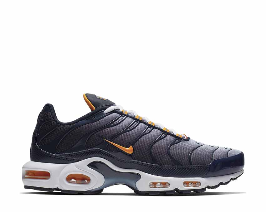 Nike Air Max Plus Dark Obsidian Orange Peel Obsidian Mist CI2299-400